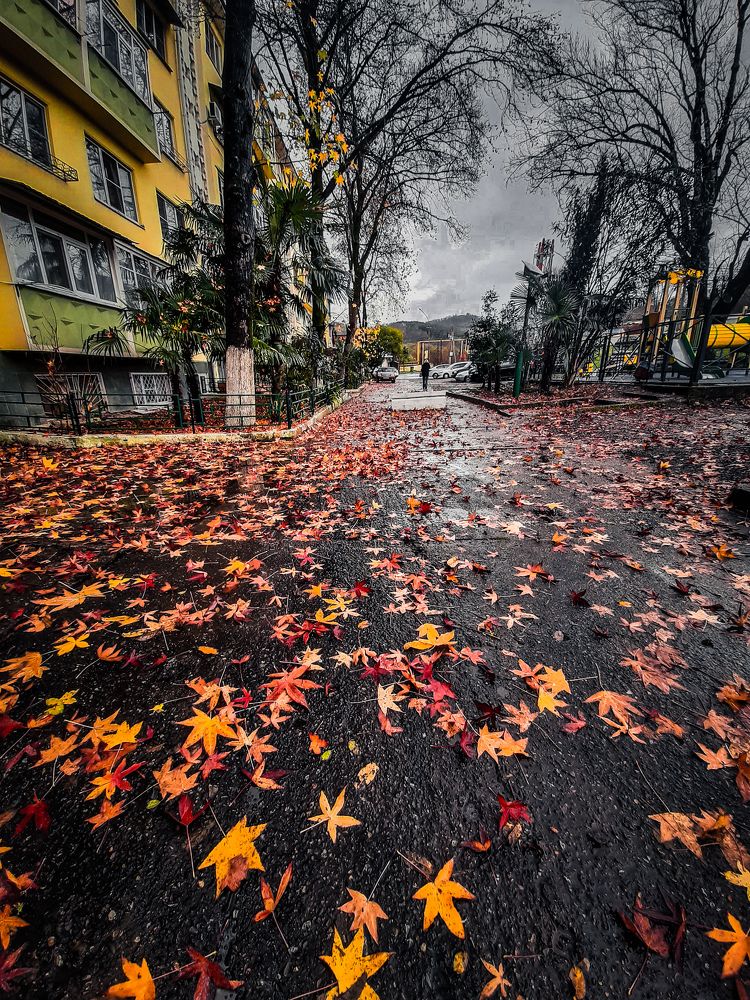 Photograph by Игорь Чечин