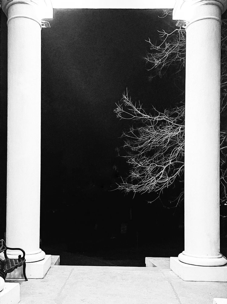 Photograph by Евгения Голубова