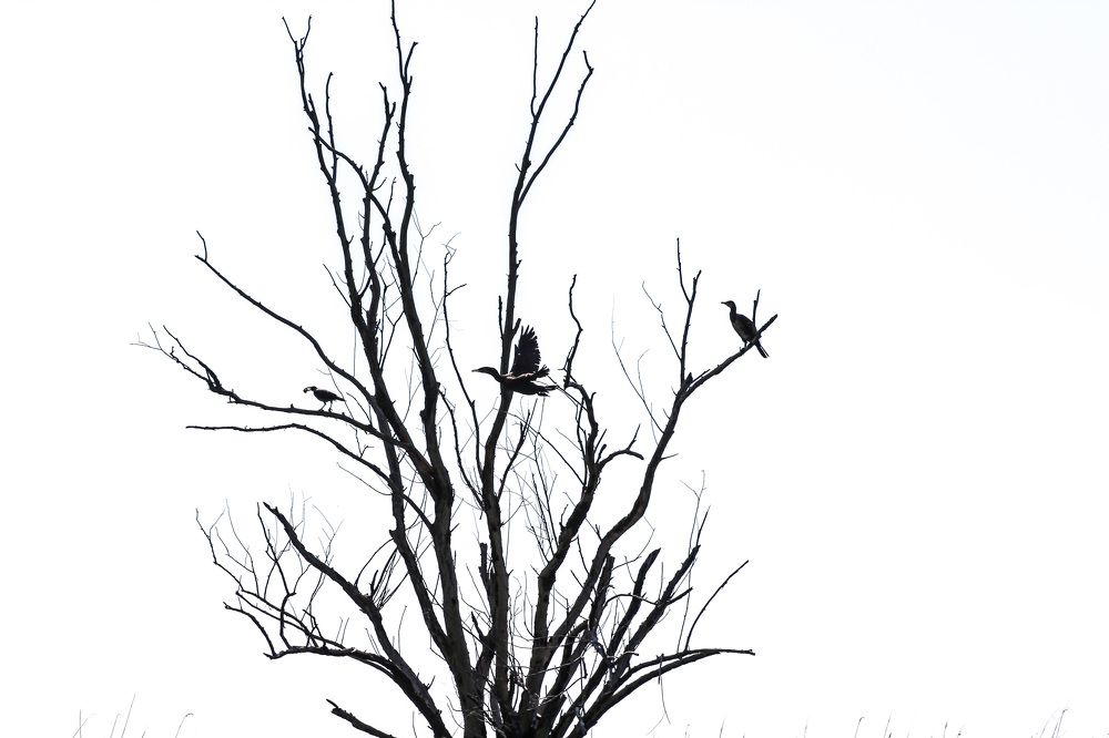 Photograph by Евгения Голубова