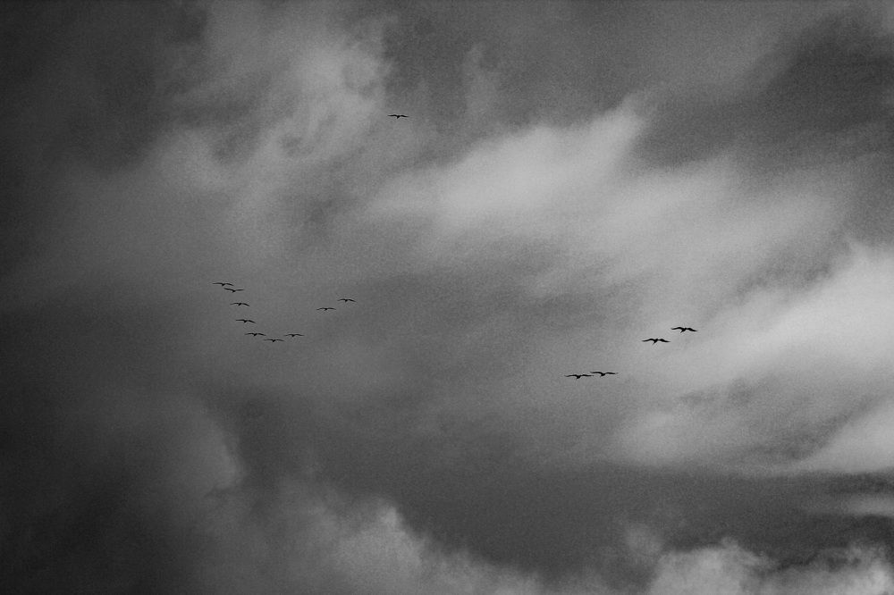 Photograph by Евгения Голубова