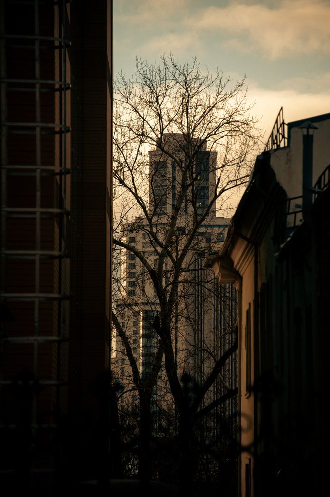 Фотография автора Тимур Литвин