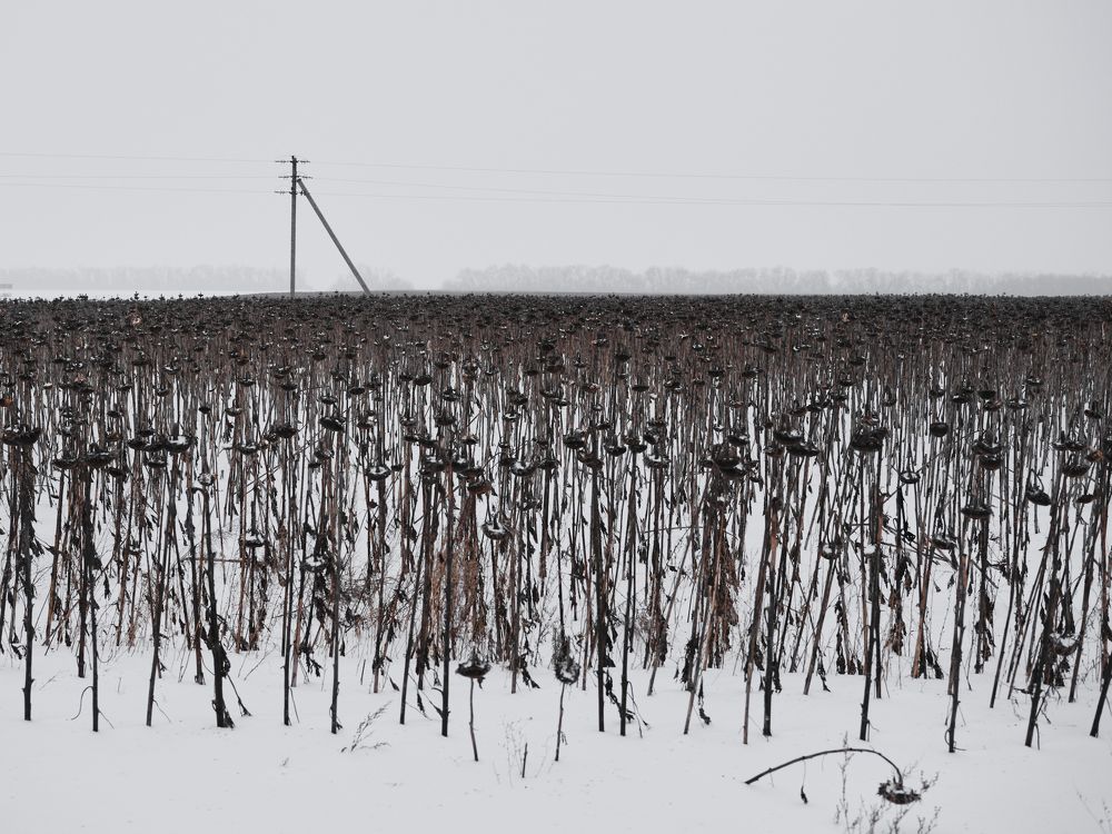 Photograph by Сячин Саша