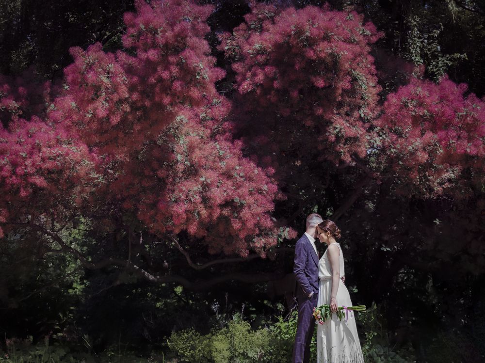 Photograph by Александра Проскурина