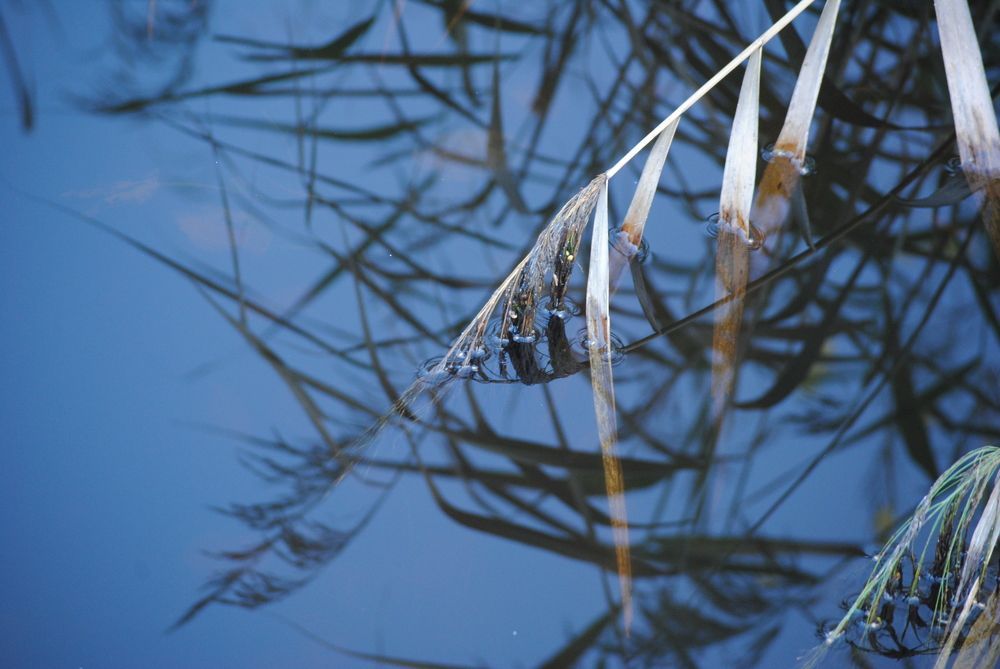 Photograph by Анна Архангельская