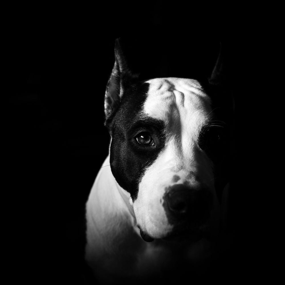 Photograph by Евгений Зачепило