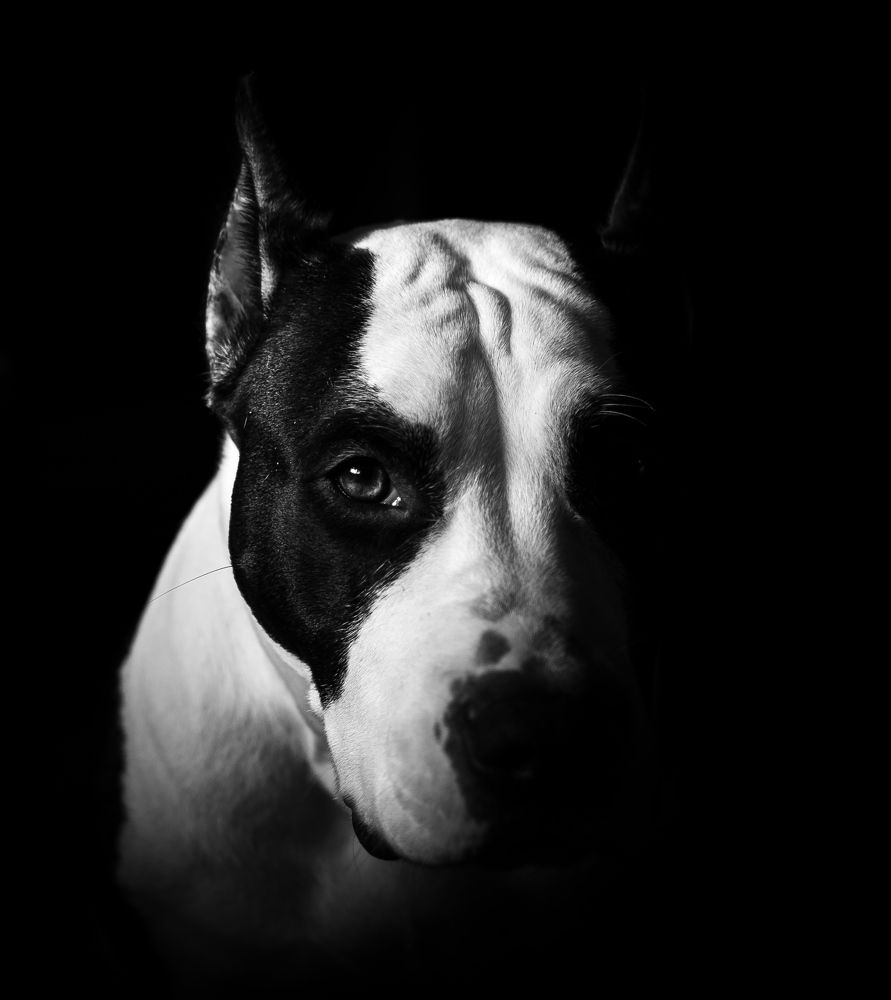 Photograph by Евгений Зачепило