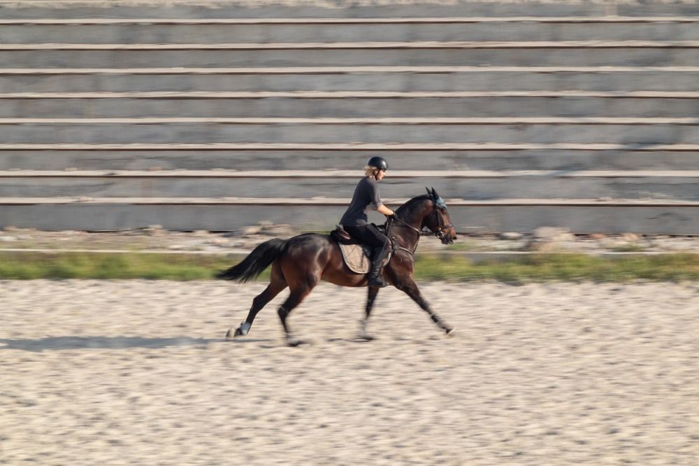 Фотография автора Van Gross