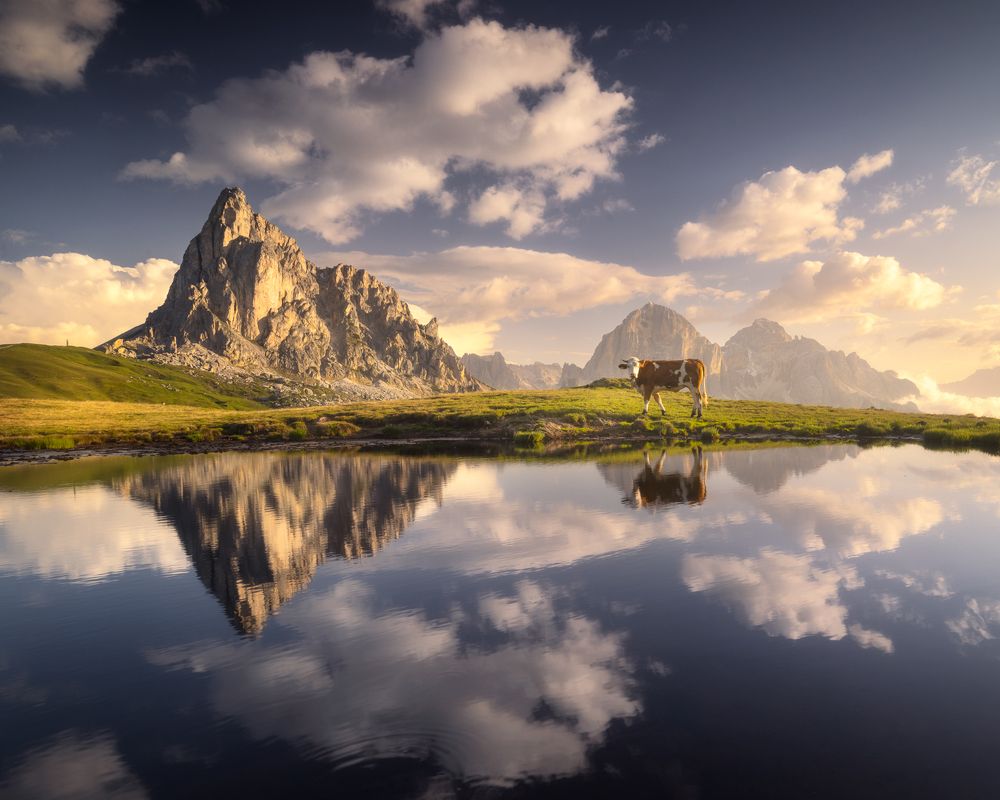 Фотография автора Oleg Rest