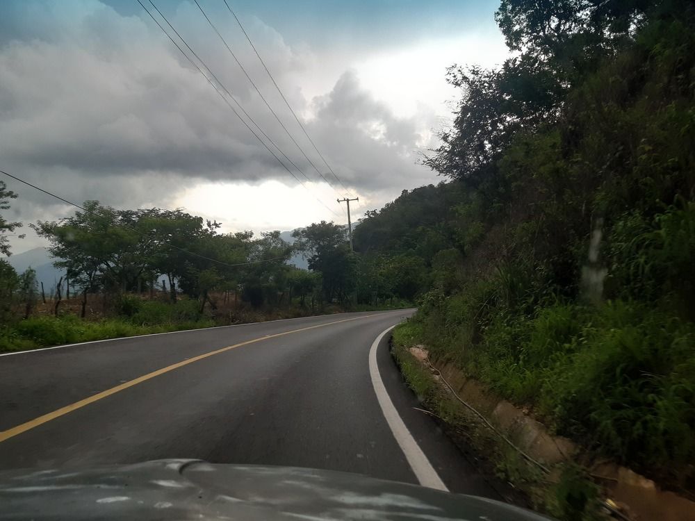 Photo #9981335