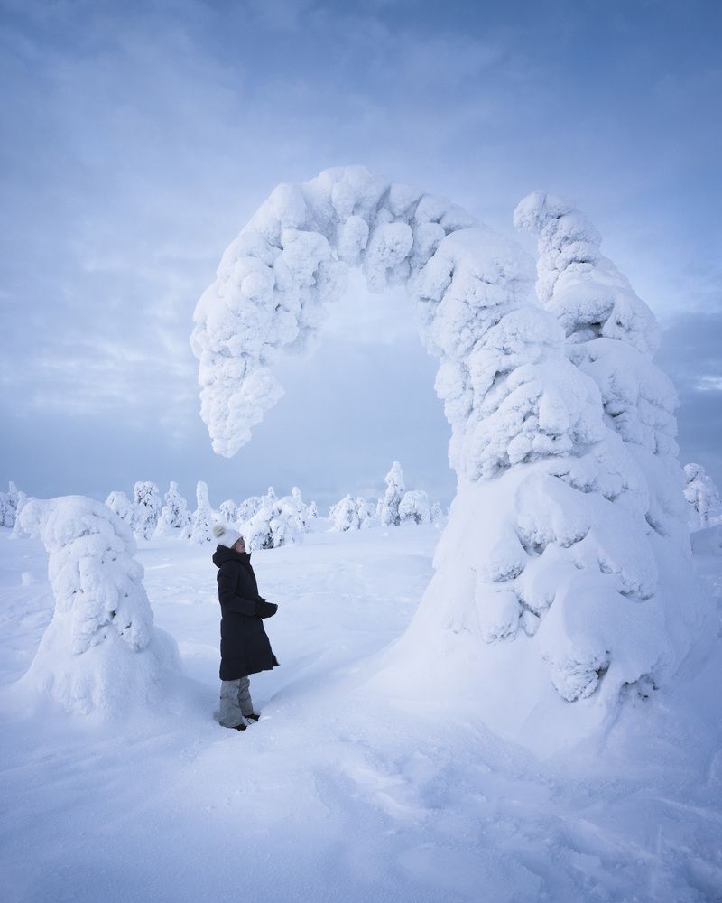 Фотография автора Oleg Rest