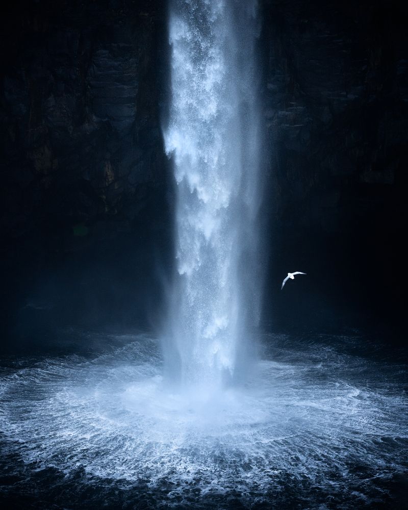 Фотография автора Oleg Rest