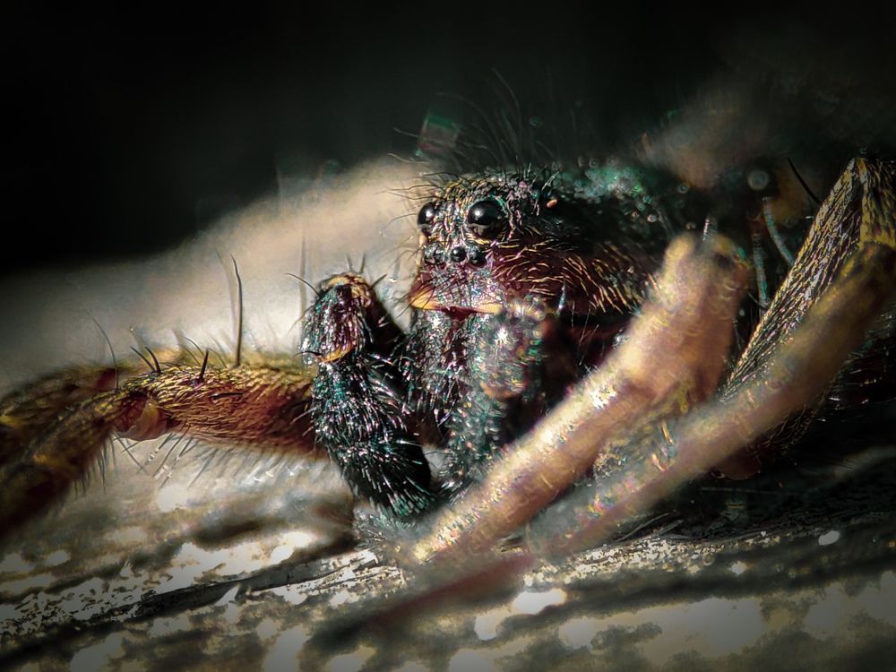 Photograph by Александра Петрова