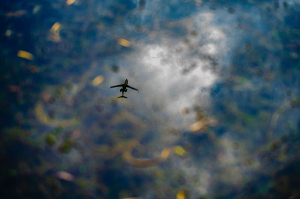 Photograph by Mili Vishwakarma