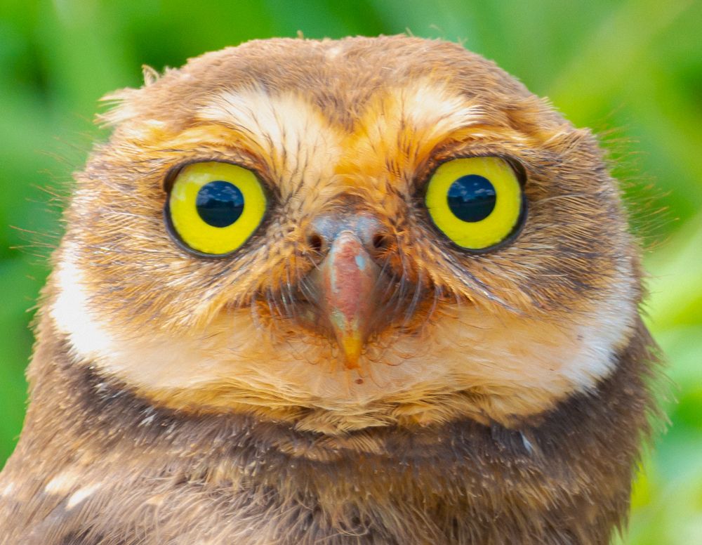 Photograph by Eliezer Santos