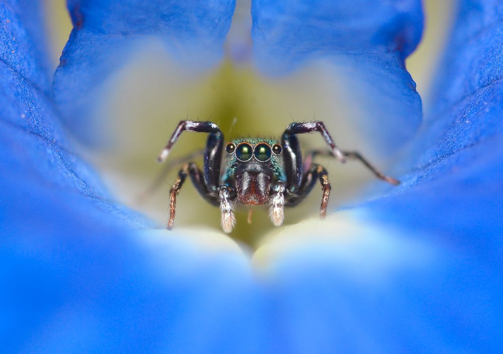 Photograph by Kasun Wickramasinghe