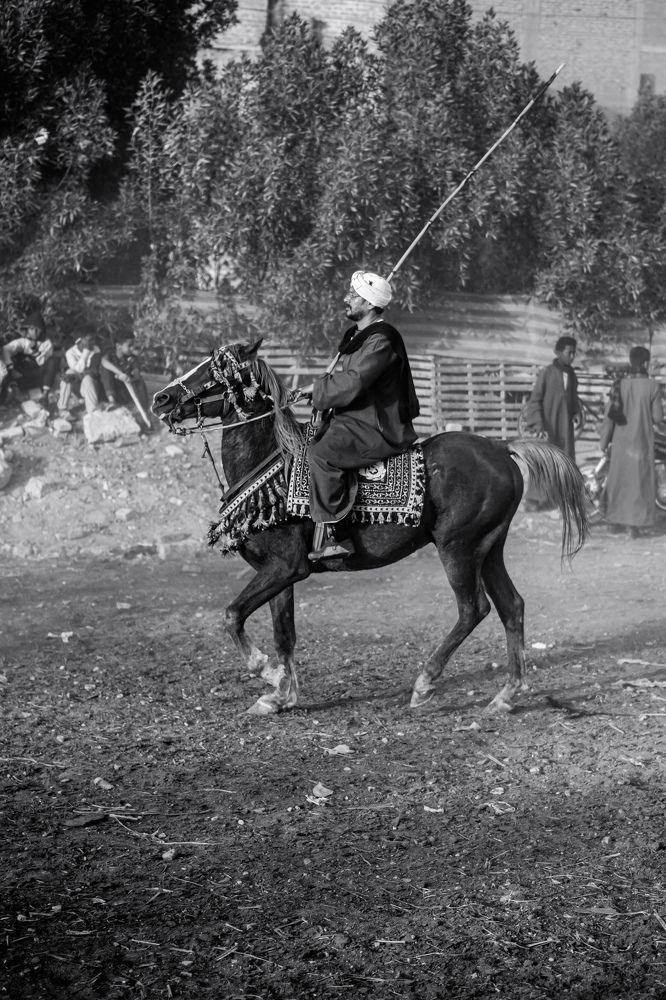 Photograph by Mohamed Dakrony