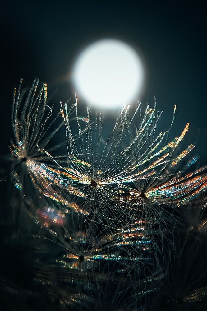 Photograph by Юлия Карпова