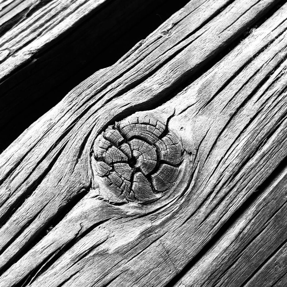 Photograph by Мария Бессмертная