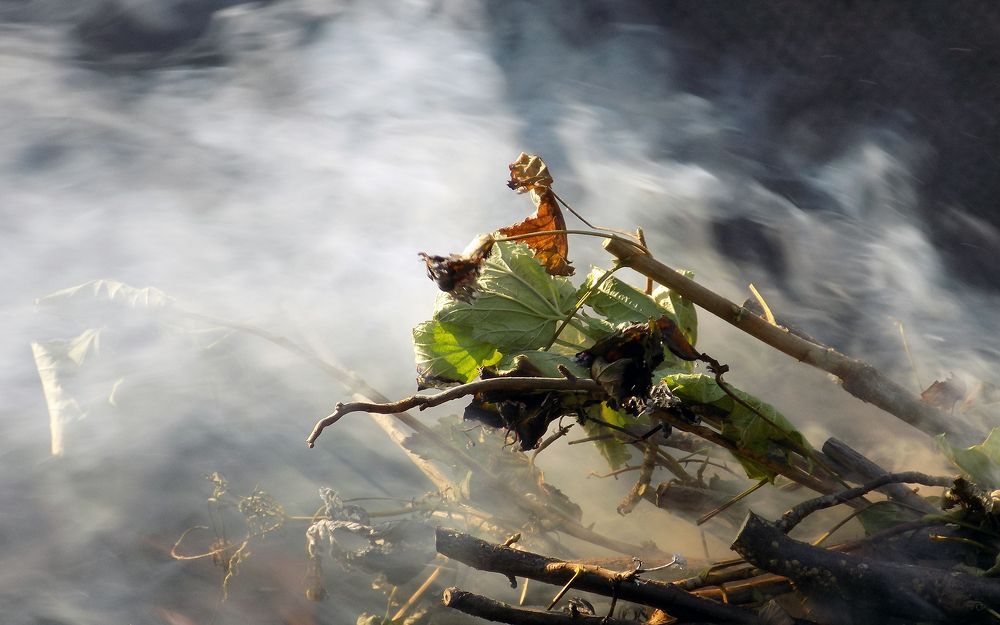 Photograph by Серега Вартман