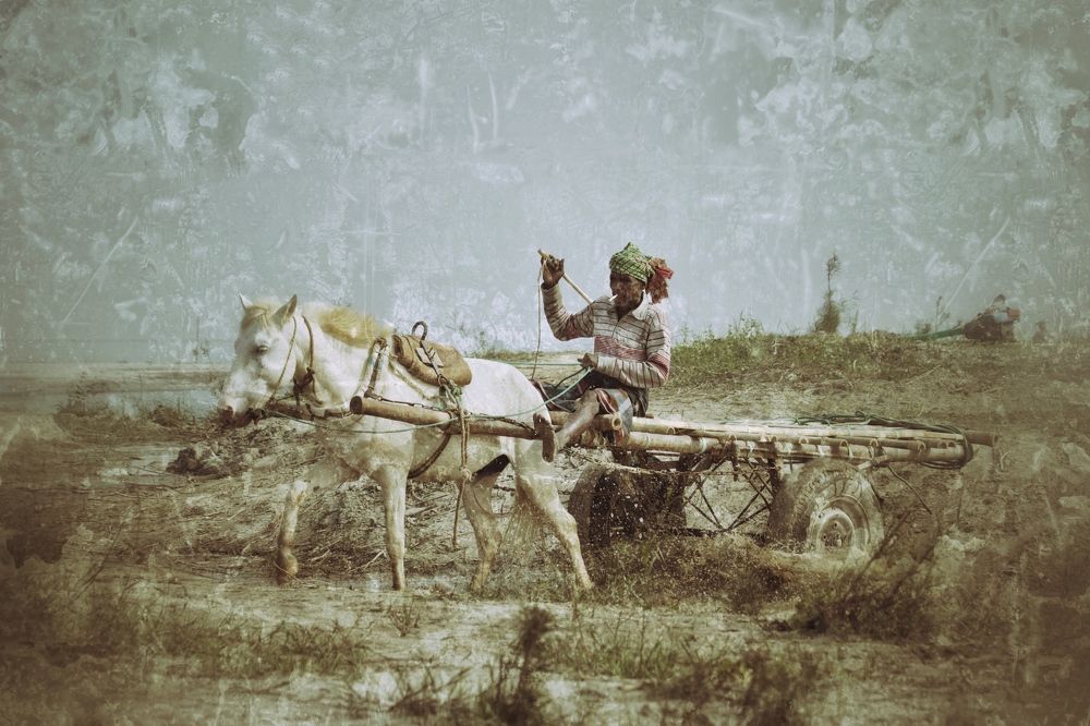 Photograph by Washiful Majid