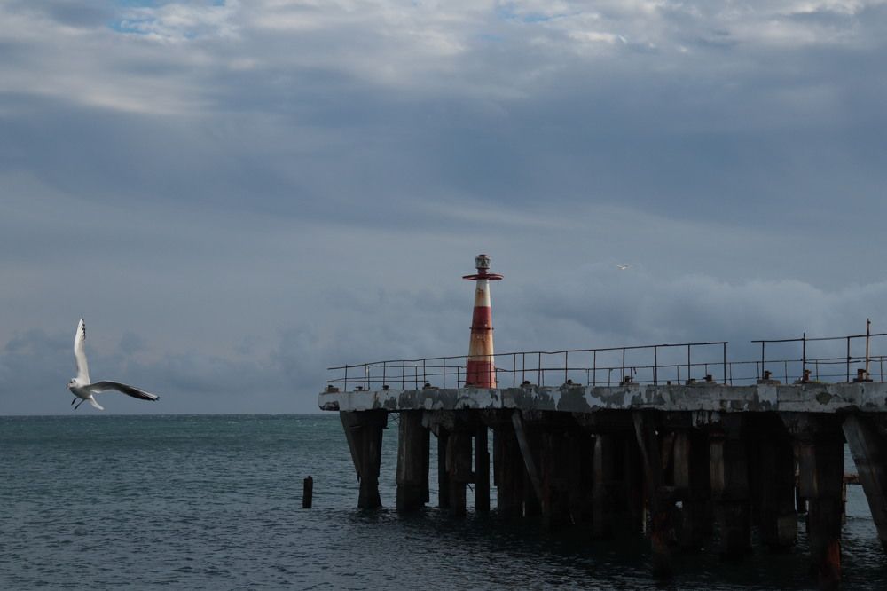 Photograph by Альфия Хабирова