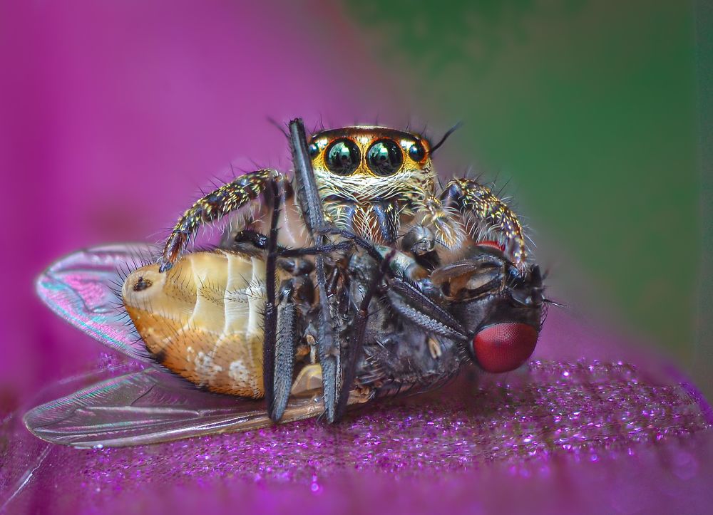 Photograph by Kasun Wickramasinghe