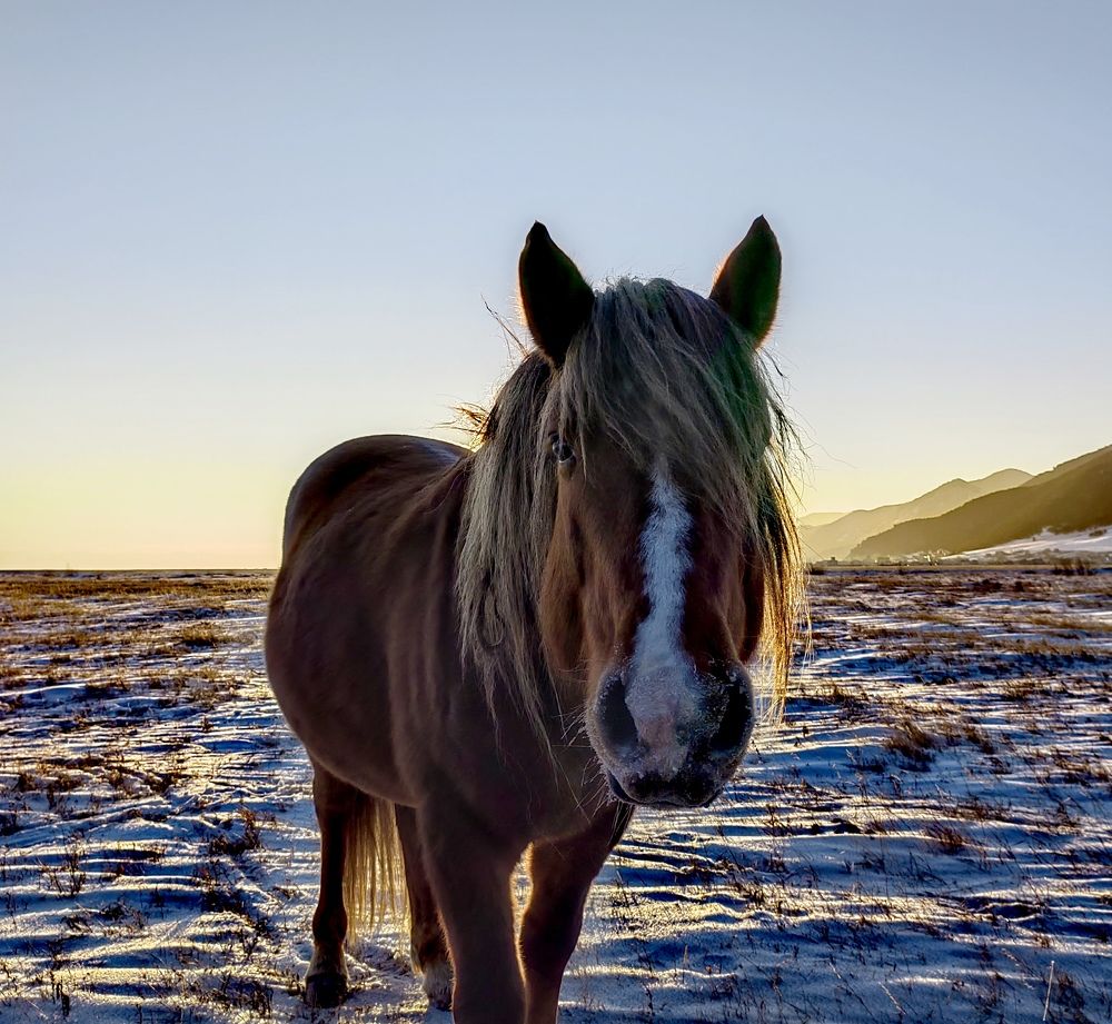 Фотография автора Максим Тельтевский