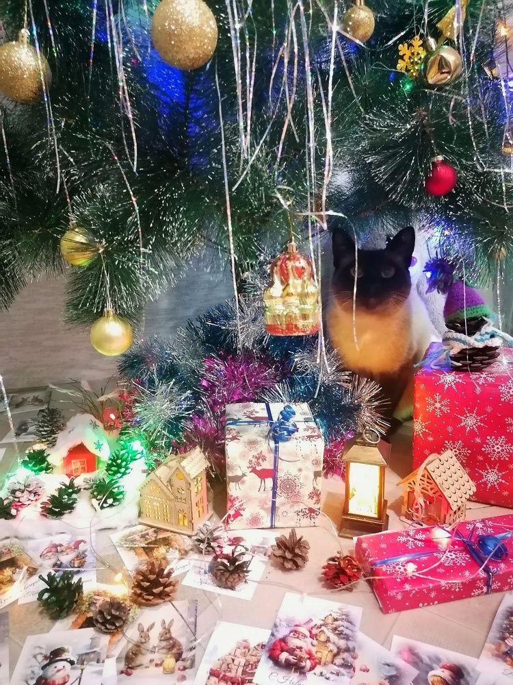 Photograph by Татьяна Бешенкина