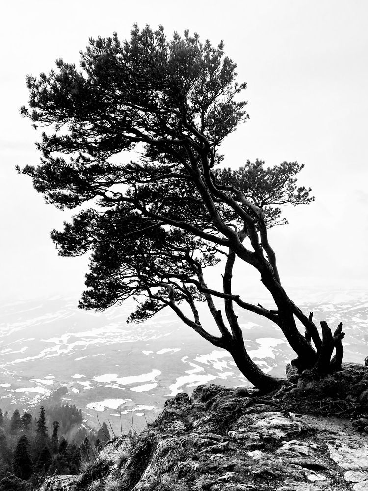 Photograph by Андрей Васильев