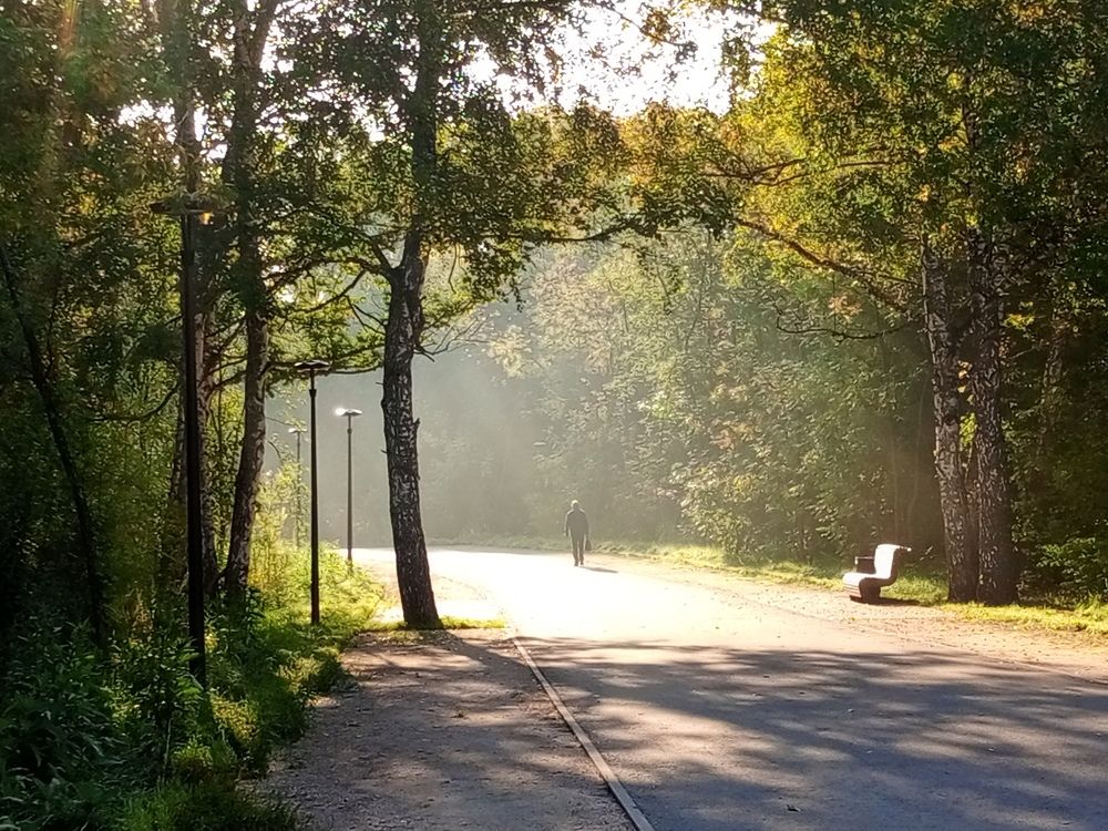 Photo #9981882
