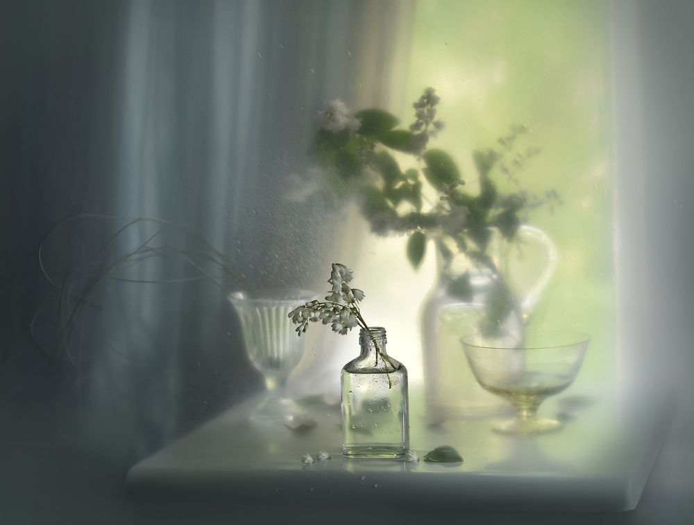 Фотография автора Ирина Шипунова