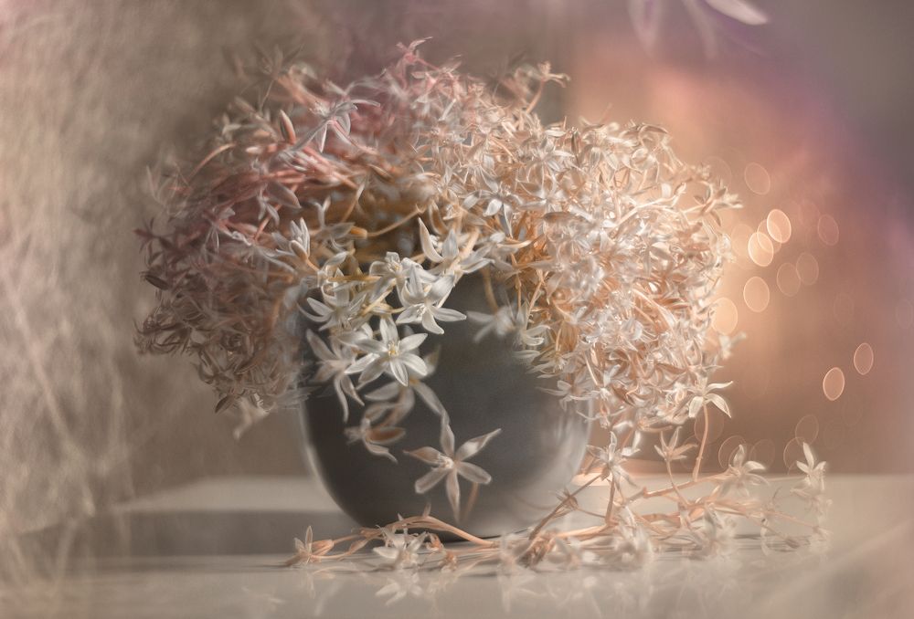 Фотография автора Ирина Шипунова