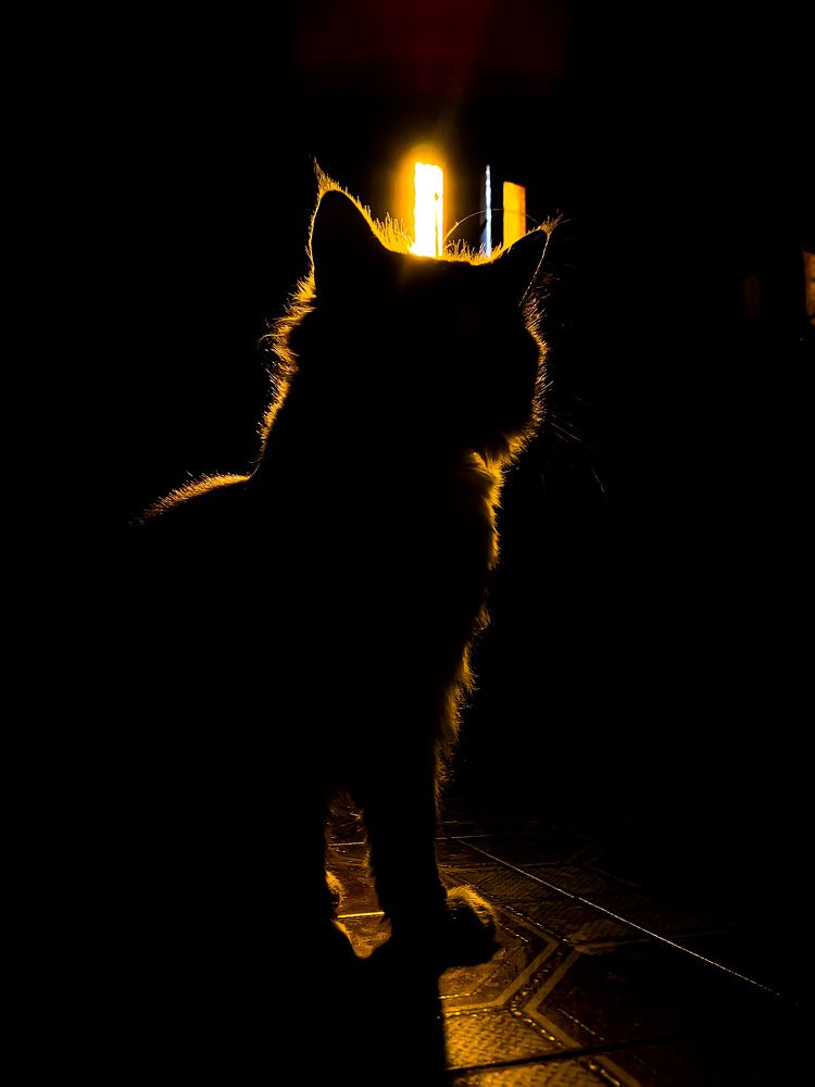 Photograph by zakaria yahia