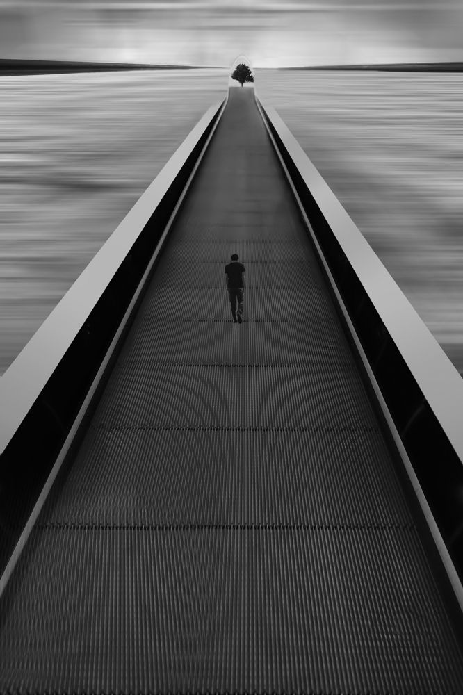 Photograph by Hoda Amouzandeh