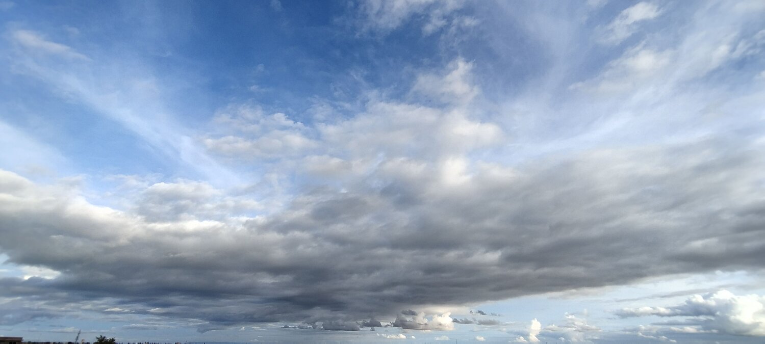 Photo #9981971