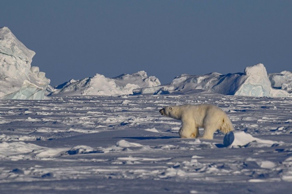 Photograph by Алексей Логинов