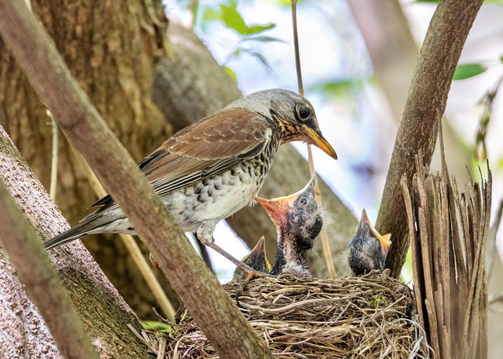 Photograph by Белевитин Михаил