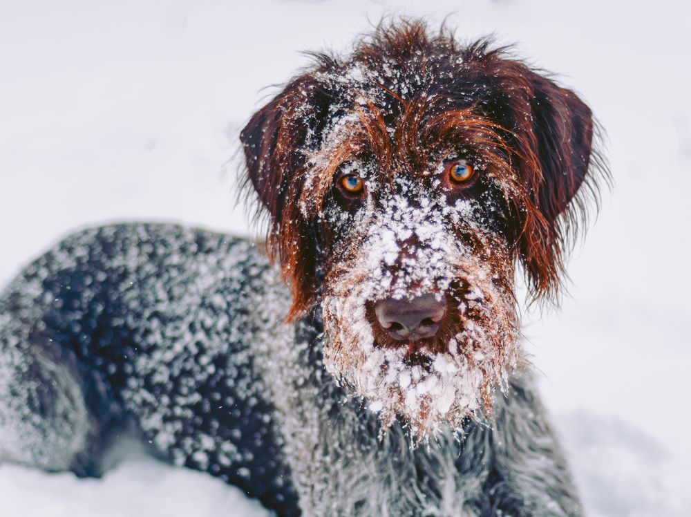 Photograph by Глущенко Ольга
