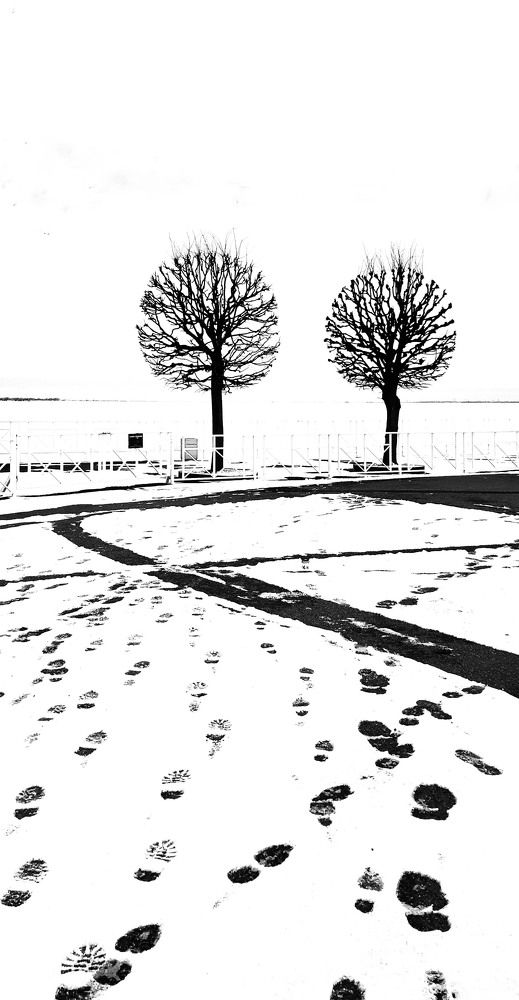 Photograph by Галина Воеводенко