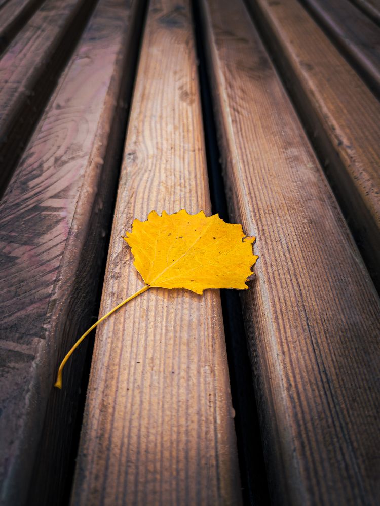 Фотография автора Александр Хухлов