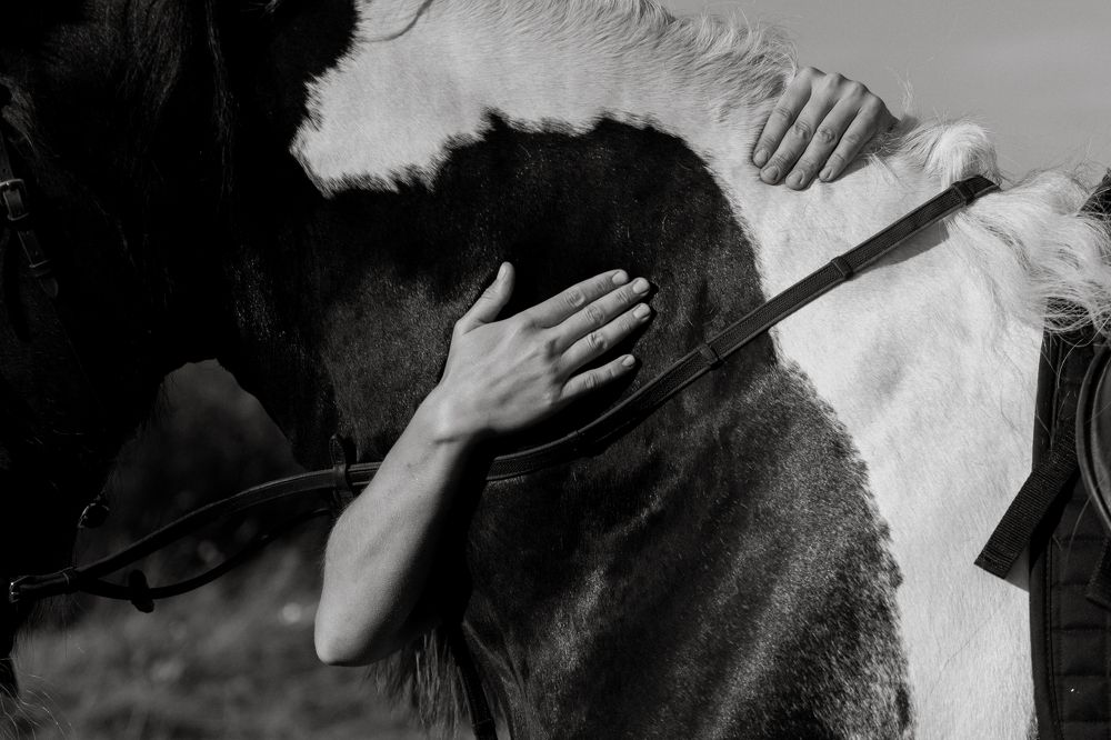 Photograph by Ольга Сморжанюк