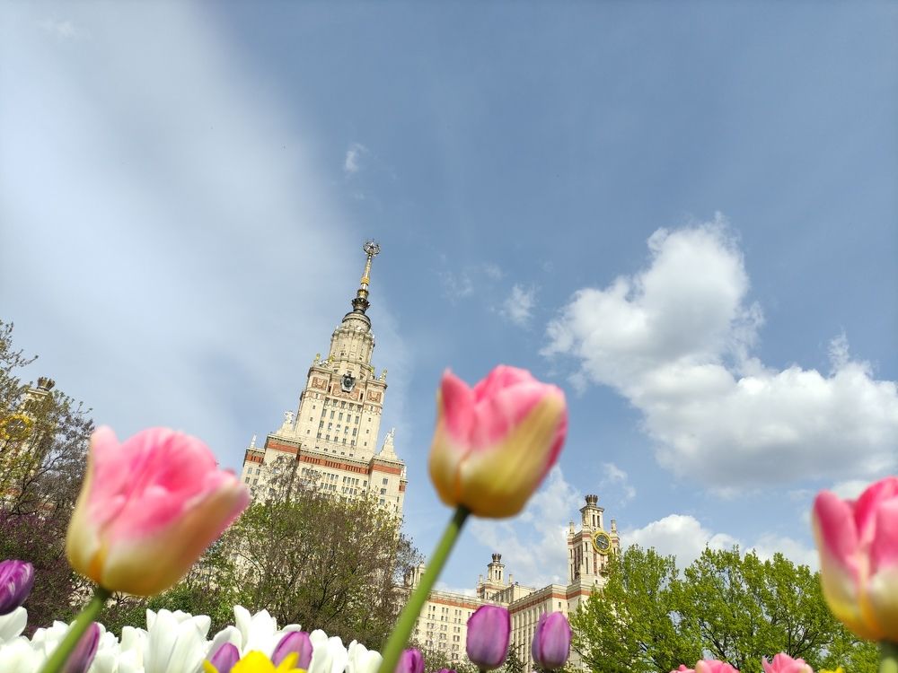 Photograph by Кира Силина