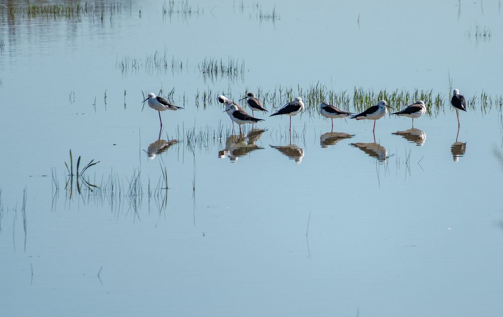 Photograph by Kristiina Stahlberg