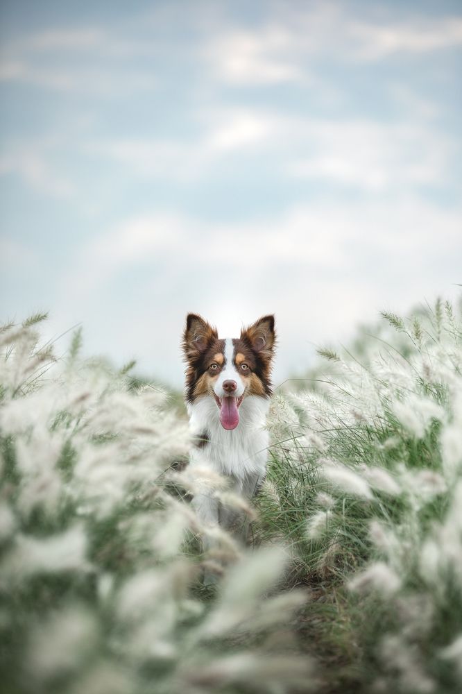 Photograph by 鲁 文漪