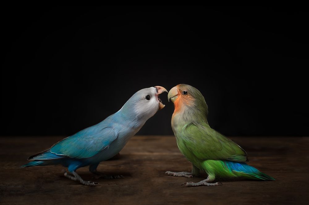 Photograph by 鲁 文漪