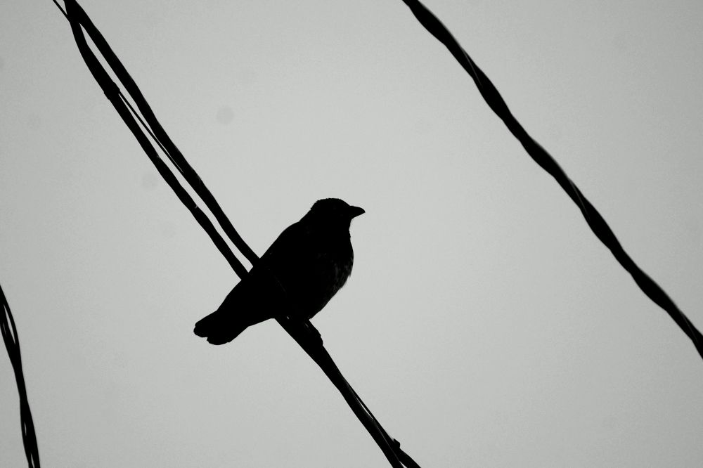 Photograph by Ирина