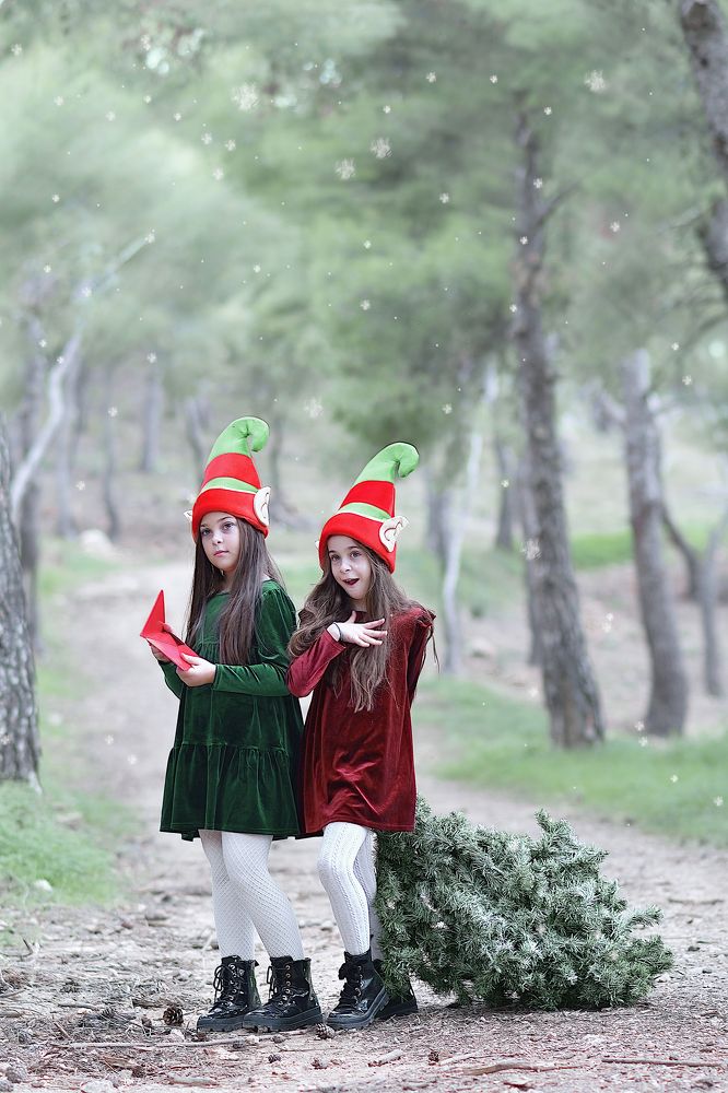 Photograph by Anne Krass