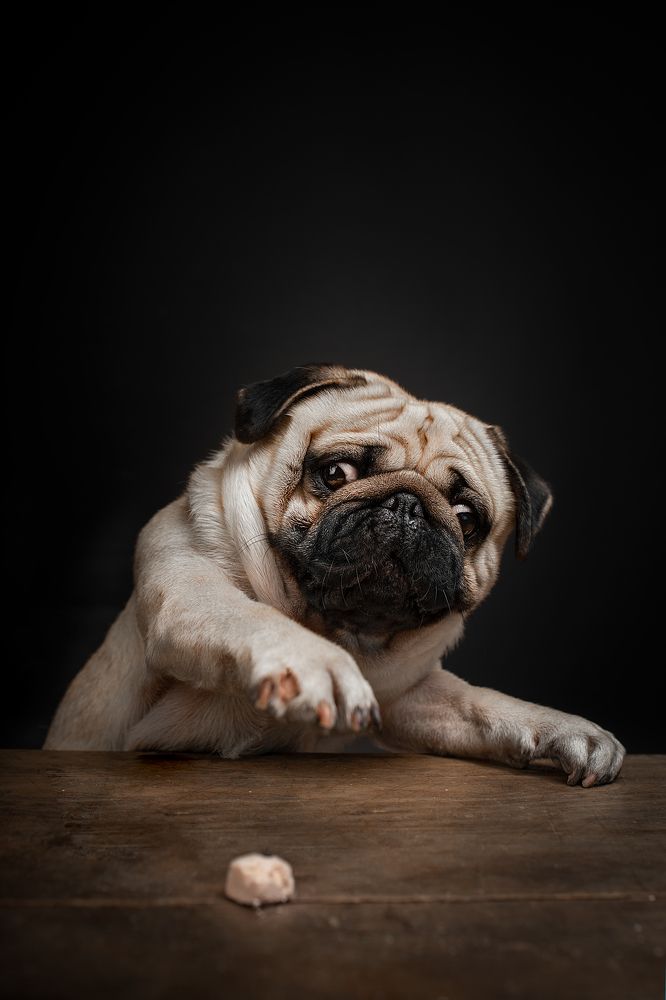 Photograph by 鲁 文漪