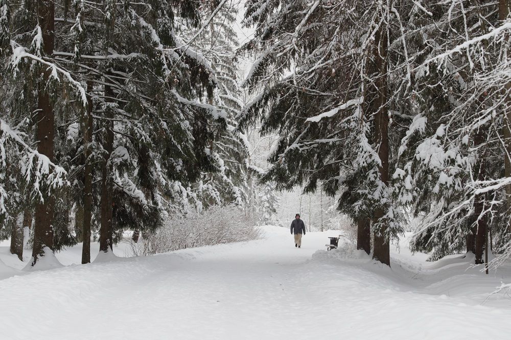 Photograph by Елена Николаева