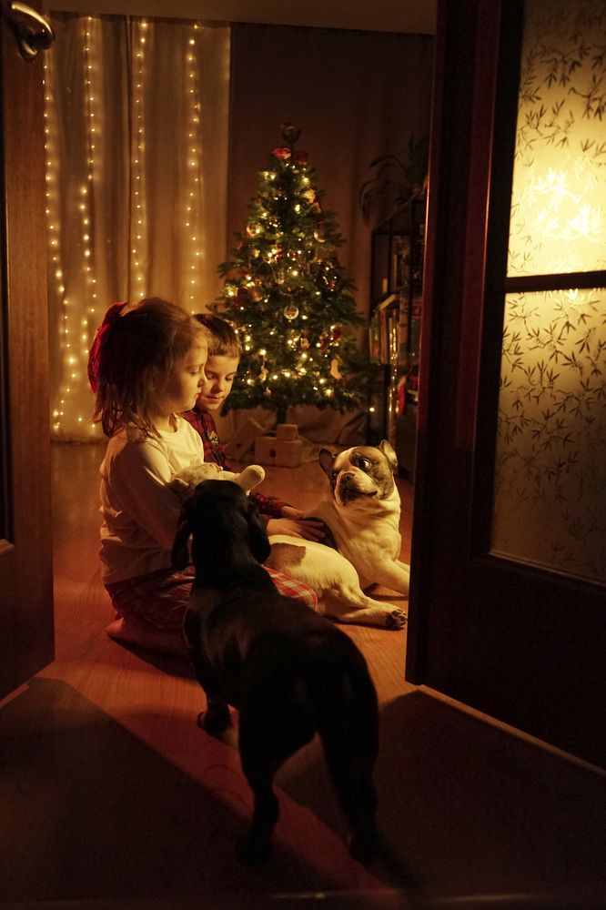 Photograph by Кристина Нагорная